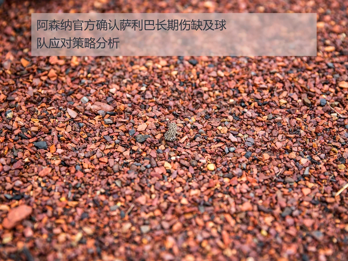 阿森纳官方确认萨利巴长期伤缺及球队应对策略分析